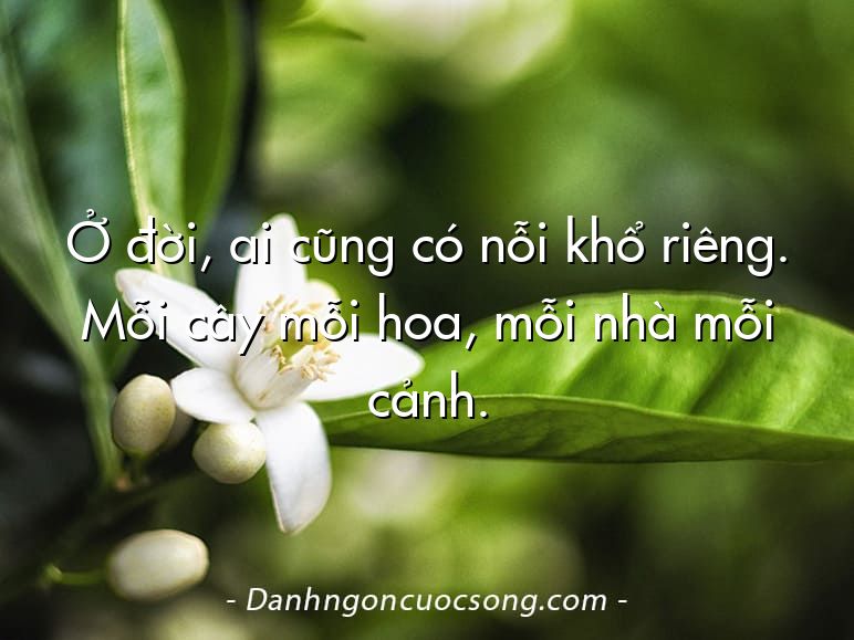 Ở đời, ai cũng có nỗi khổ riêng. Mỗi cây mỗi hoa, mỗi nhà mỗi cảnh.