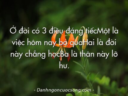 Ở đời có 3 điều đáng tiếcMột là việc hôm nay bỏ quaHai là đời này chẳng họcBa là thân này lỡ hư.
