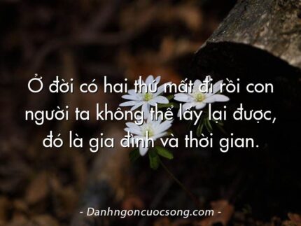 Ở đời có hai thứ mất đi rồi con người ta không thể lấy lại được, đó là gia đình và thời gian.