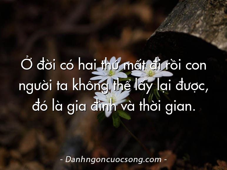 Ở đời có hai thứ mất đi rồi con người ta không thể lấy lại được, đó là gia đình và thời gian.
