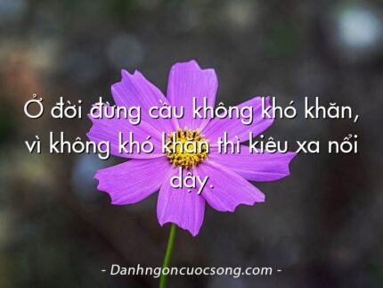 Ở đời đừng cầu không khó khăn, vì không khó khăn thì kiêu xa nổi dậy.