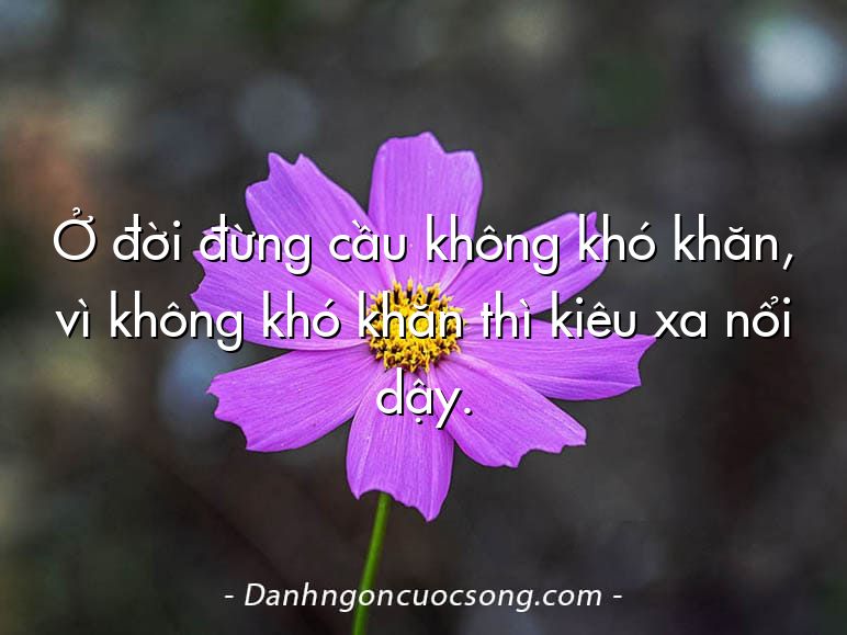 Ở đời đừng cầu không khó khăn, vì không khó khăn thì kiêu xa nổi dậy.