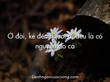 Ở đời, kẻ đến người đi đều là có nguyên do cả