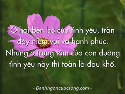 Ở hai bên bờ của tình yêu, tràn đầy niềm vui và hạnh phúc. Nhưng ở trung tâm của con đường tình yêu này thì toàn là đau khổ.