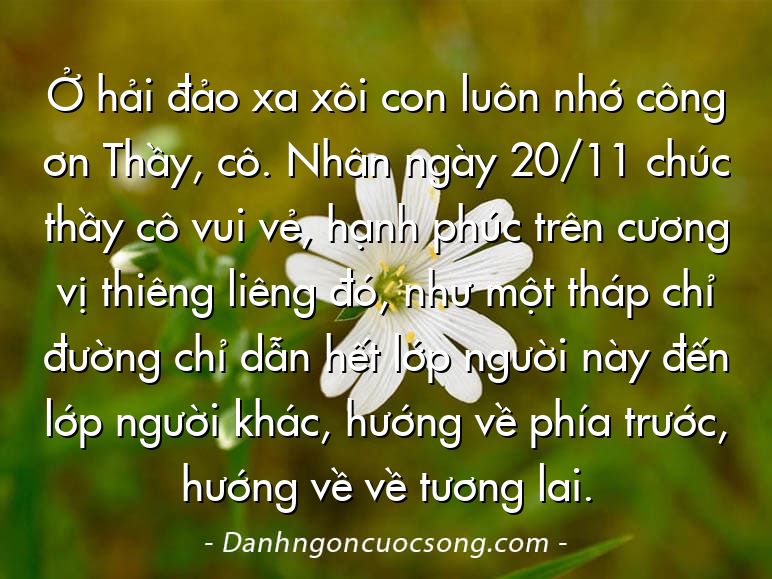 Ở hải đảo xa xôi con luôn nhớ công ơn Thầy, cô. Nhân ngày 20/11 chúc thầy cô vui vẻ, hạnh phúc trên cương vị thiêng liêng đó, như một tháp chỉ đường chỉ dẫn hết lớp người này đến lớp người khác, hướng về phía trước, hướng về về tương lai.
