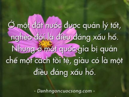 Ở một đất nước được quản lý tốt, nghèo đói là điều đáng xấu hổ. Nhưng ở một quốc gia bị quản chế một cách tồi tệ, giàu có là một điều đáng xấu hổ.