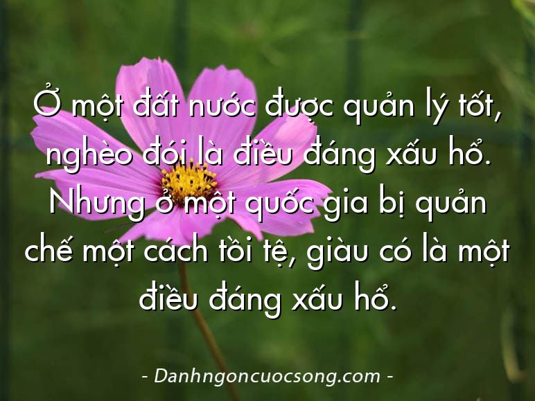 Ở một đất nước được quản lý tốt, nghèo đói là điều đáng xấu hổ. Nhưng ở một quốc gia bị quản chế một cách tồi tệ, giàu có là một điều đáng xấu hổ.