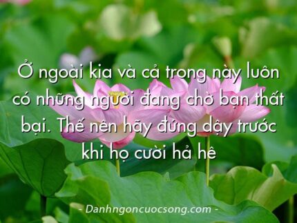 Ở ngoài kia và cả trong này luôn có những người đang chờ bạn thất bại. Thế nên hãy đứng dậy trước khi họ cười hả hê