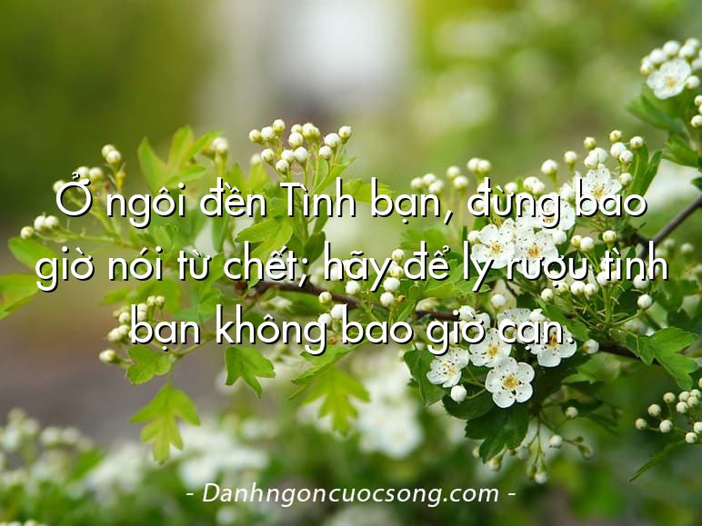 Ở ngôi đền Tình bạn, đừng bao giờ nói từ chết; hãy để ly rượu tình bạn không bao giờ cạn.