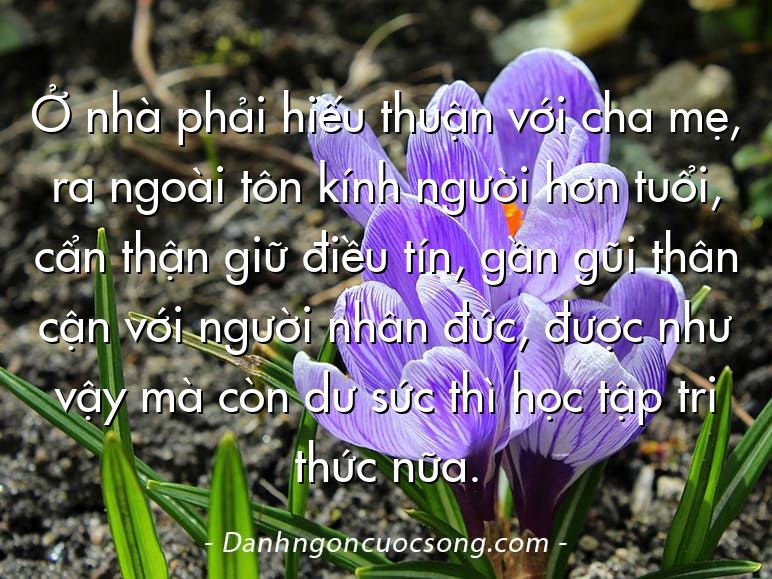 Ở nhà phải hiếu thuận với cha mẹ, ra ngoài tôn kính người hơn tuổi, cẩn thận giữ điều tín, gần gũi thân cận với người nhân đức, được như vậy mà còn dư sức thì học tập tri thức nữa.