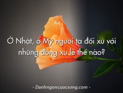 Ở Nhật, ở Mỹ người ta đối xử với những đồng xu lẻ thế nào?