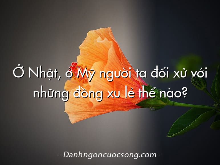 Ở Nhật, ở Mỹ người ta đối xử với những đồng xu lẻ thế nào?