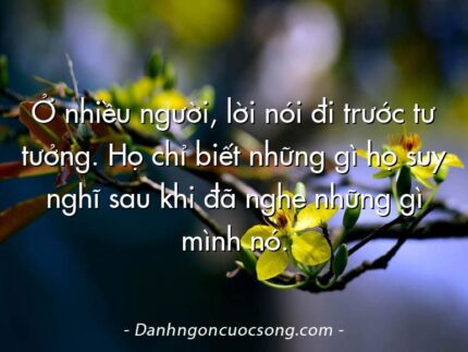 Ở nhiều người, lời nói đi trước tư tưởng. Họ chỉ biết những gì họ suy nghĩ sau khi đã nghe những gì mình nó.