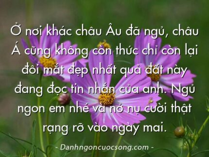 Ở nơi khác châu Âu đã ngủ, châu Á cũng không còn thức chỉ còn lại đôi mắt đẹp nhất quả đất này đang đọc tin nhắn của anh. Ngủ ngon em nhé và nở nụ cười thật rạng rỡ vào ngày mai.