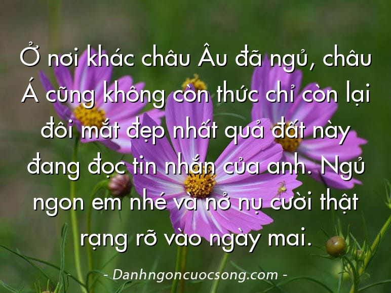 Ở nơi khác châu Âu đã ngủ, châu Á cũng không còn thức chỉ còn lại đôi mắt đẹp nhất quả đất này đang đọc tin nhắn của anh. Ngủ ngon em nhé và nở nụ cười thật rạng rỡ vào ngày mai.