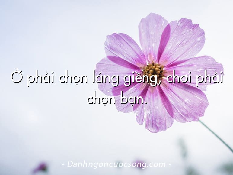 Ở phải chọn láng giềng, chơi phải chọn bạn.
