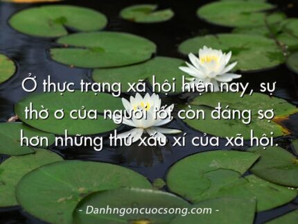 Ở thực trạng xã hội hiện nay, sự thờ ơ của người tốt còn đáng sợ hơn những thứ xấu xí của xã hội.