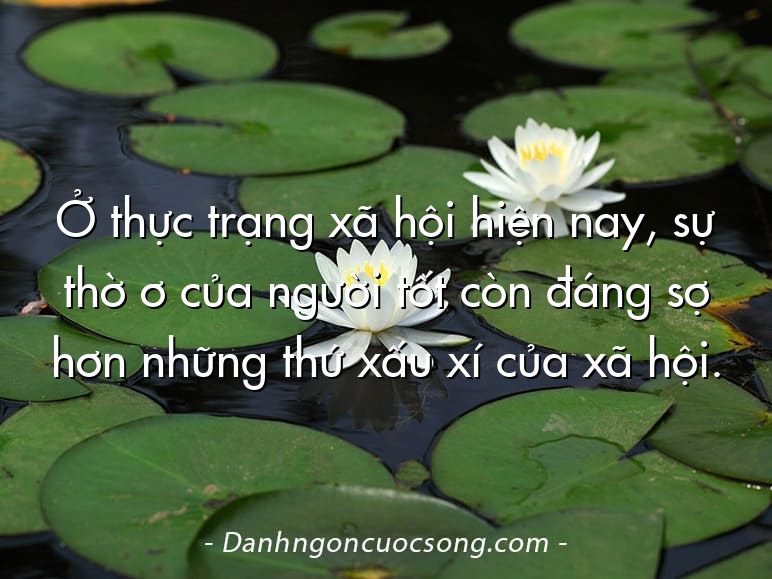 Ở thực trạng xã hội hiện nay, sự thờ ơ của người tốt còn đáng sợ hơn những thứ xấu xí của xã hội.