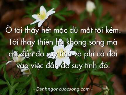 Ồ tôi thấy hết mặc dù mắt tôi kém. Tôi thấy thiên hạ không sống mà chỉ đắn đo suy tính và phí cả đời vào việc đắn đo suy tính đó.