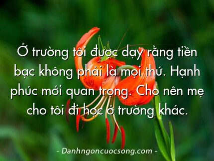 Ở trường tôi được dạy rằng tiền bạc không phải là mọi thứ. Hạnh phúc mới quan trọng. Cho nên mẹ cho tôi đi học ở trường khác.