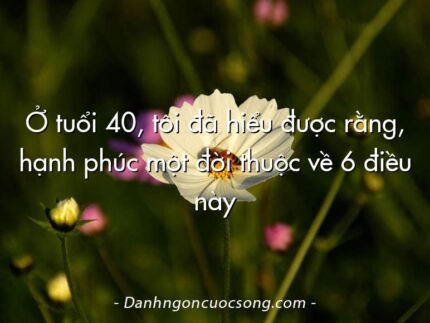 Ở tuổi 40, tôi đã hiểu được rằng, hạnh phúc một đời thuộc về 6 điều này