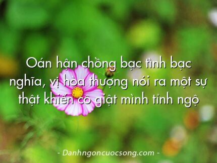 Oán hận chồng bạc tình bạc nghĩa, vị hòa thượng nói ra một sự thật khiến cô giật mình tỉnh ngộ