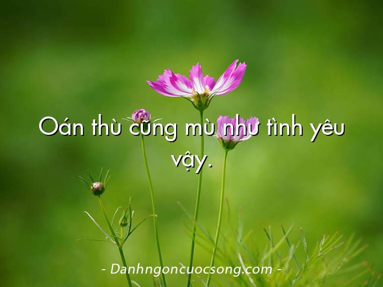 Oán thù cũng mù như tình yêu vậy.