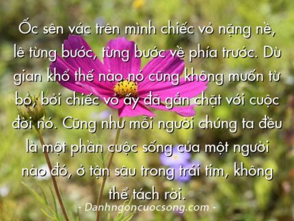 Ốc sên vác trên mình chiếc vỏ nặng nề, lê từng bước, từng bước về phía trước. Dù gian khổ thế nào nó cũng không muốn từ bỏ, bởi chiếc vỏ ấy đã gắn chặt với cuộc đời nó. Cũng như mỗi người chúng ta đều là một phần cuộc sống của một người nào đó, ở tận sâu trong trái tim, không thể tách rời.