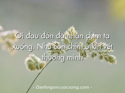 Ôi đau đớn đã nhận chìm ta xuống. Như con chim ủ kín vết thương mình