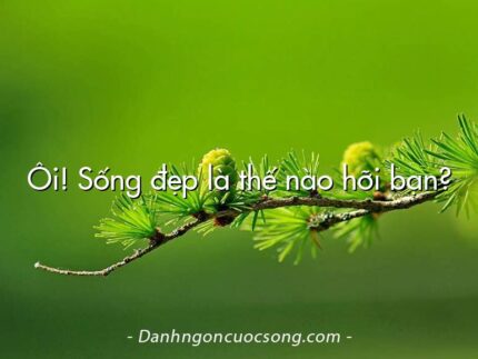 Ôi! Sống đẹp là thế nào hỡi bạn?