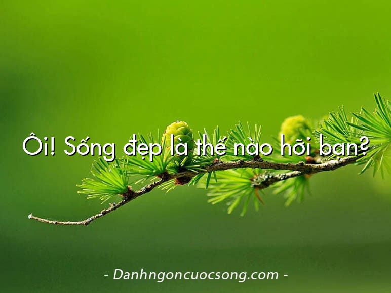 Ôi! Sống đẹp là thế nào hỡi bạn?