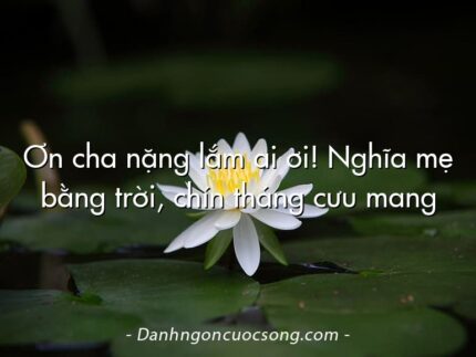 Ơn cha nặng lắm ai ơi! Nghĩa mẹ bằng trời, chín tháng cưu mang