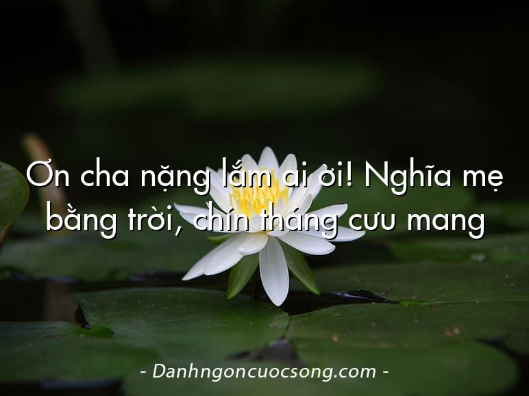 Ơn cha nặng lắm ai ơi! Nghĩa mẹ bằng trời, chín tháng cưu mang