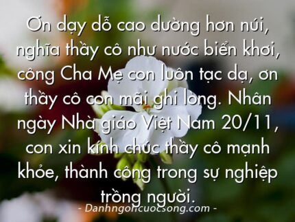Ơn dạy dỗ cao dường hơn núi, nghĩa thầy cô như nước biển khơi, công Cha Mẹ con luôn tạc dạ, ơn thầy cô con mãi ghi lòng. Nhân ngày Nhà giáo Việt Nam 20/11, con xin kính chúc thầy cô mạnh khỏe, thành công trong sự nghiệp trồng người.