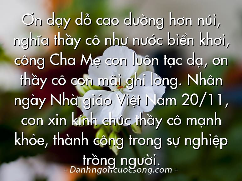 Ơn dạy dỗ cao dường hơn núi, nghĩa thầy cô như nước biển khơi, công Cha Mẹ con luôn tạc dạ, ơn thầy cô con mãi ghi lòng. Nhân ngày Nhà giáo Việt Nam 20/11, con xin kính chúc thầy cô mạnh khỏe, thành công trong sự nghiệp trồng người.