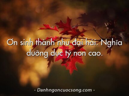 Ơn sinh thành như đại hải. Nghĩa dưỡng dục tỷ non cao.