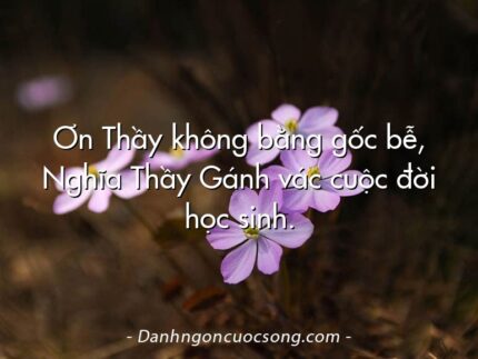 Ơn Thầy không bằng gốc bễ, Nghĩa Thầy Gánh vác cuộc đời học sinh.