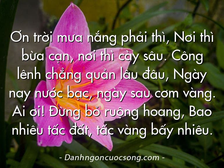 Ơn trời mưa nắng phải thì, Nơi thì bừa cạn, nơi thì cày sâu. Công lênh chẳng quản lâu đâu, Ngày nay nước bạc, ngày sau cơm vàng. Ai ơi! Đừng bỏ ruộng hoang, Bao nhiêu tấc đất, tấc vàng bấy nhiêu.