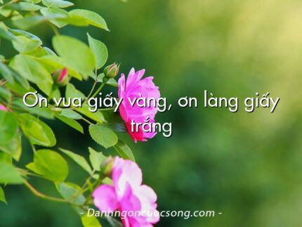 Ơn vua giấy vàng, ơn làng giấy trắng