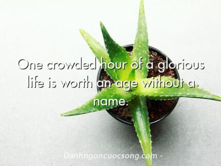 One crowded hour of a glorious life is worth an age without a name.