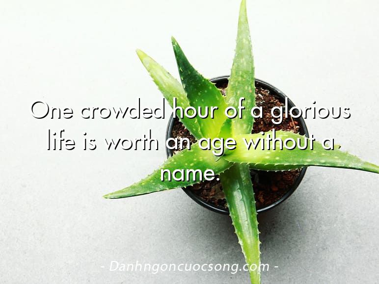 One crowded hour of a glorious life is worth an age without a name.