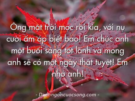 Ông mặt trời mọc rồi kìa, với nụ cười ấm áp biết bao! Em chúc anh một buổi sáng tốt lành và mong anh sẽ có một ngày thật tuyệt! Em nhớ anh!