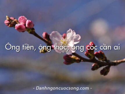 Ông tiền, ông thóc, ông cóc cần ai