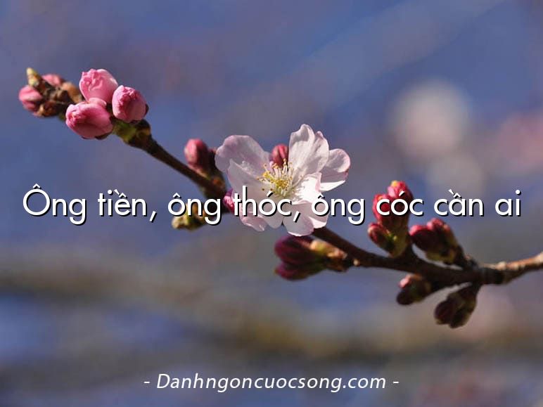 Ông tiền, ông thóc, ông cóc cần ai