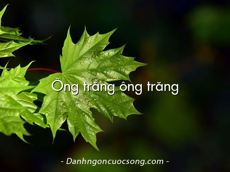 Ông trẳng ông trăng