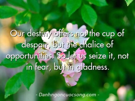 Our destiny offers not the cup of despair, but the chalice of opportunities. So let us seize it, not in fear, but in gladness.