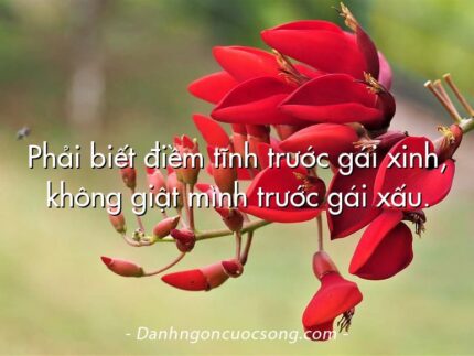 Phải biết điềm tĩnh trước gái xinh, không giật mình trước gái xấu.