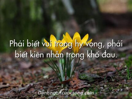 Phải biết vui trong hy vọng, phải biết kiên nhẫn trong khổ đau.