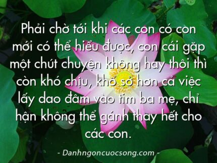 Phải chờ tới khi các con có con mới có thể hiểu được, con cái gặp một chút chuyện không hay thôi thì còn khó chịu, khổ sở hơn cả việc lấy dao đâm vào tim ba mẹ, chỉ hận không thể gánh thay hết cho các con.
