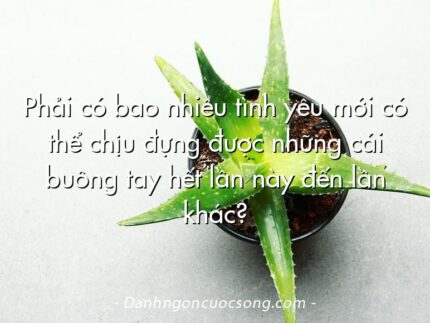 Phải có bao nhiêu tình yêu mới có thể chịu đựng được những cái buông tay hết lần này đến lần khác?